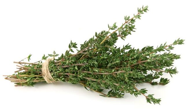 tomiño para aumentar o pene