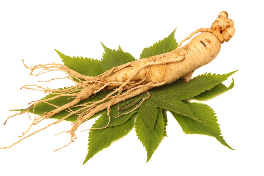 ginseng en Big Size